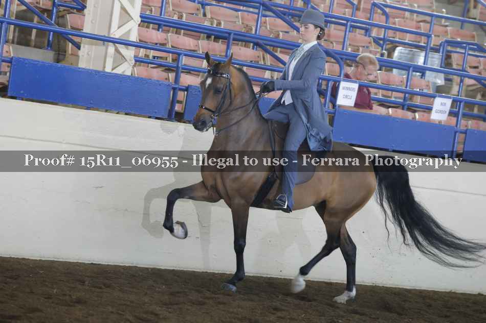Proof Number 15R11_06955