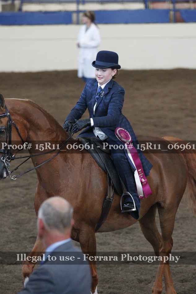 Proof Number 15R11_06961
