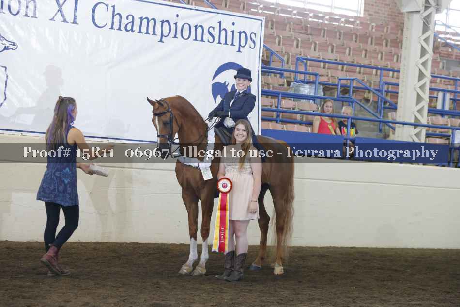 Proof Number 15R11_06967