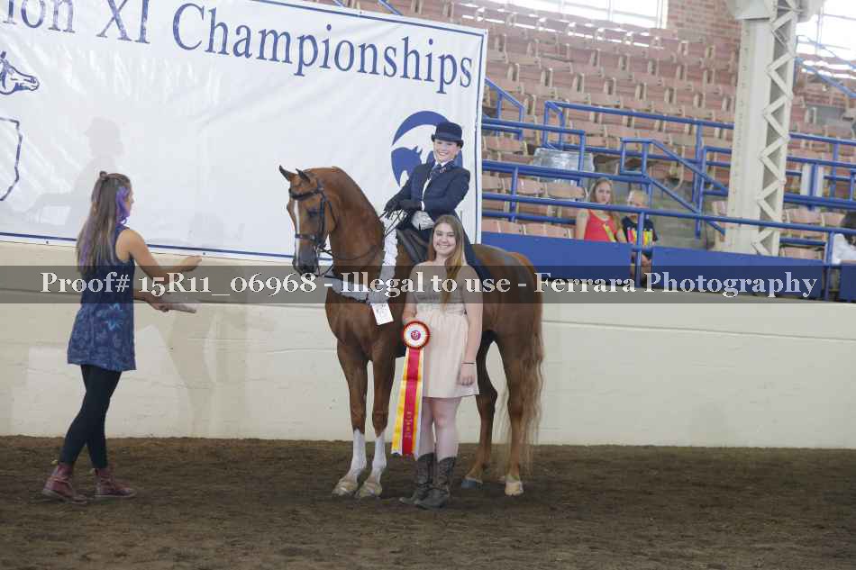 Proof Number 15R11_06968