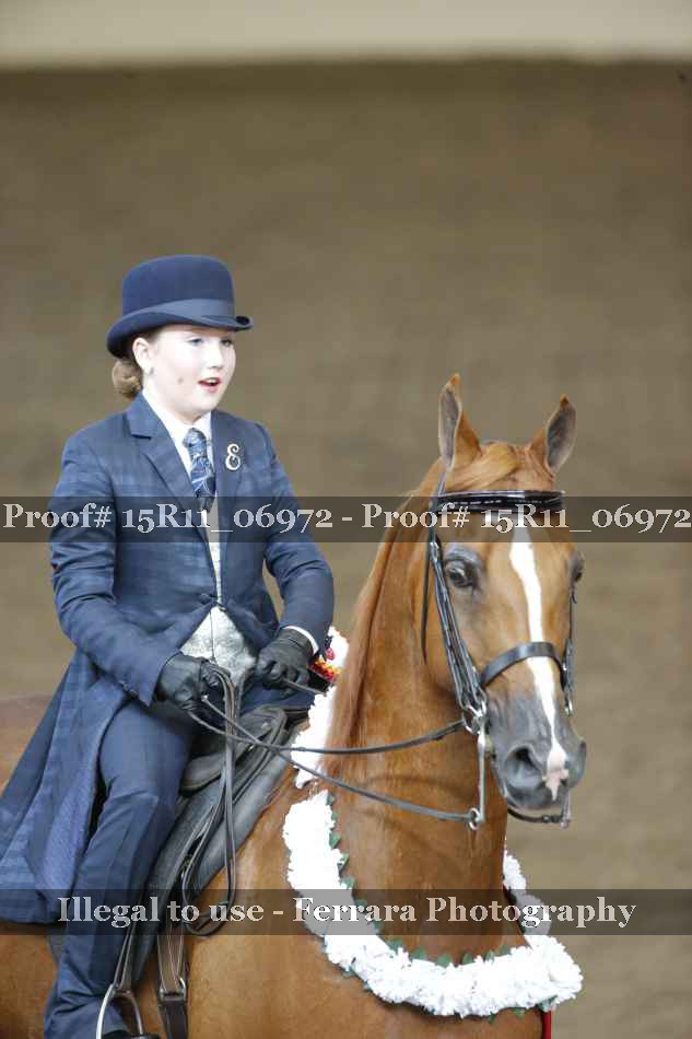 Proof Number 15R11_06972