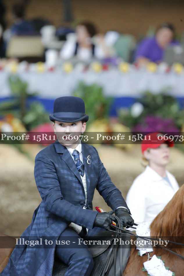 Proof Number 15R11_06973