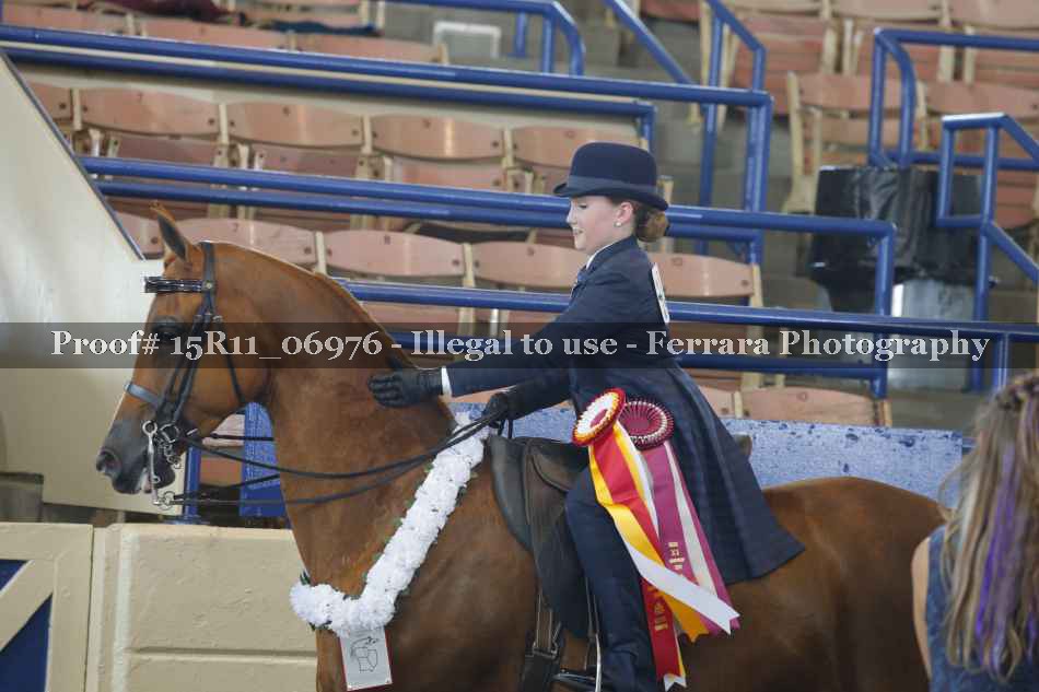 Proof Number 15R11_06976