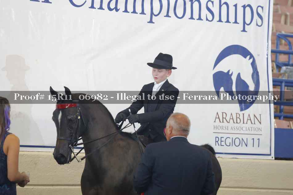 Proof Number 15R11_06982