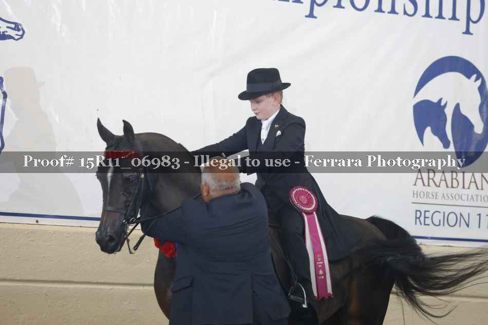 Proof Number 15R11_06983