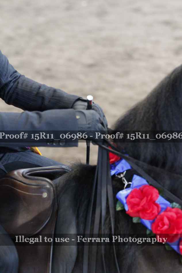Proof Number 15R11_06986