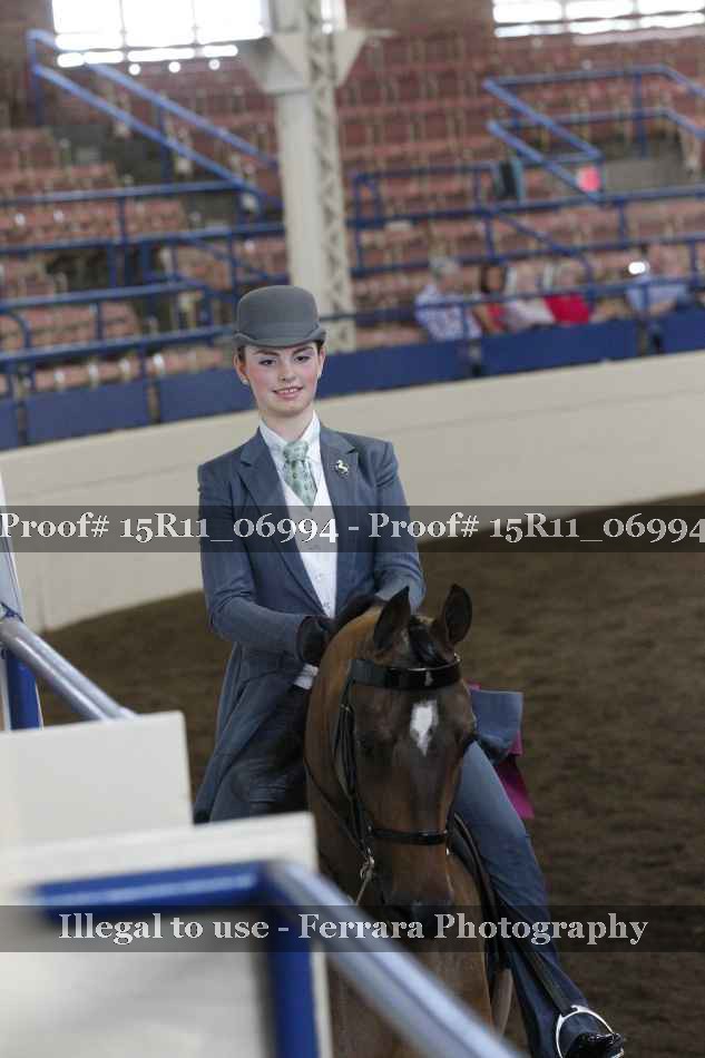 Proof Number 15R11_06994