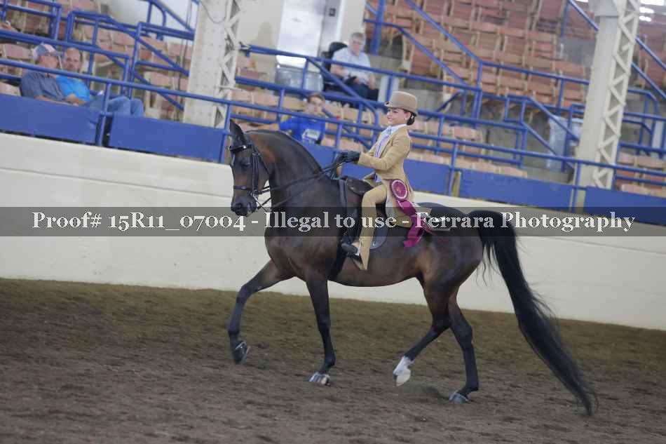 Proof Number 15R11_07004