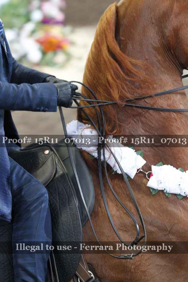Proof Number 15R11_07013