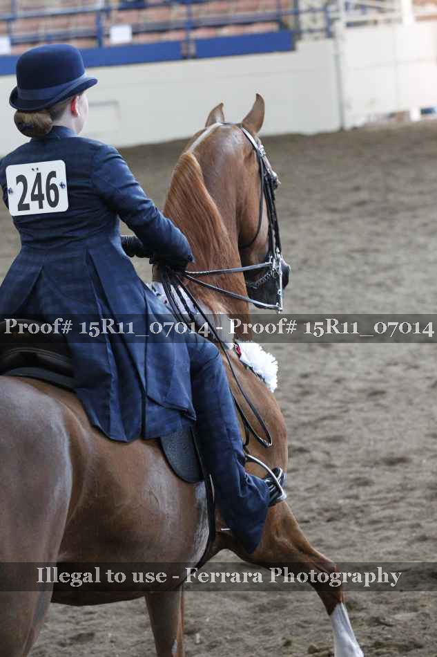 Proof Number 15R11_07014