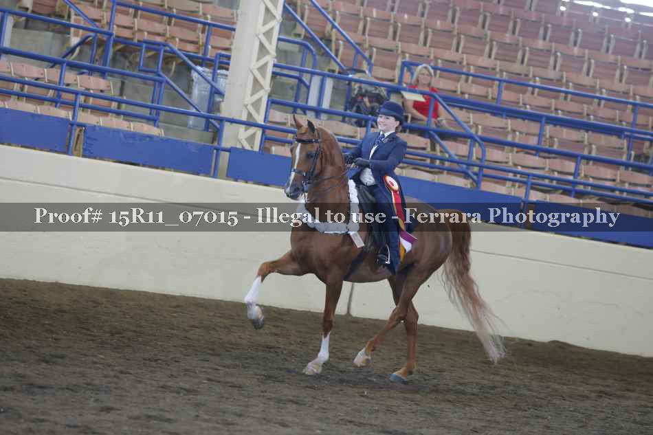 Proof Number 15R11_07015