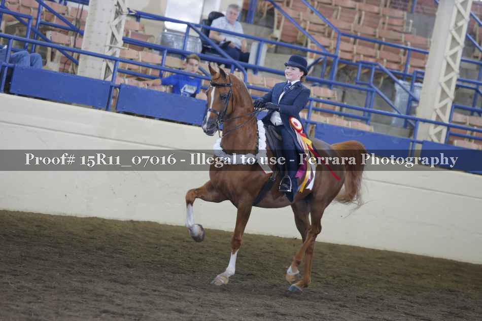 Proof Number 15R11_07016