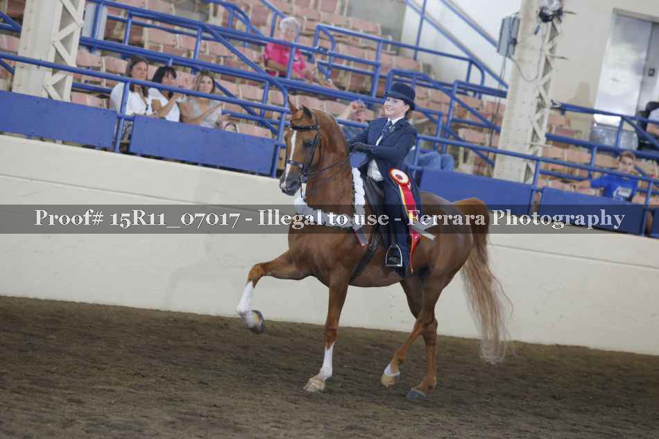 Proof Number 15R11_07017