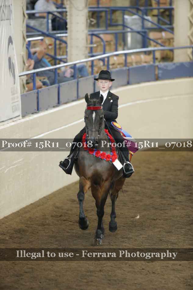 Proof Number 15R11_07018
