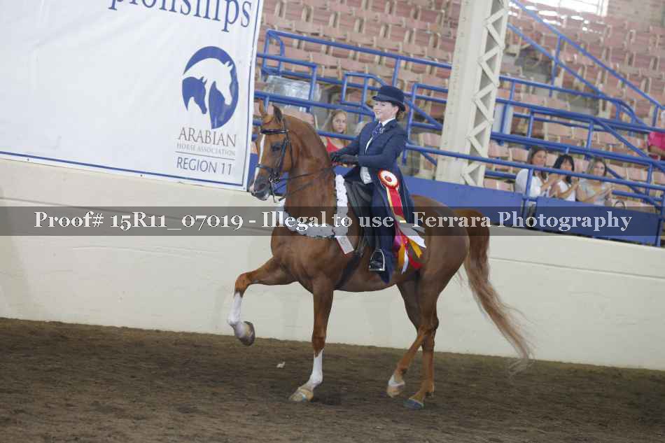 Proof Number 15R11_07019