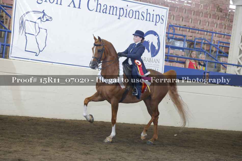 Proof Number 15R11_07020