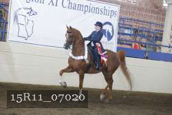 15R11_07020 thumbnail