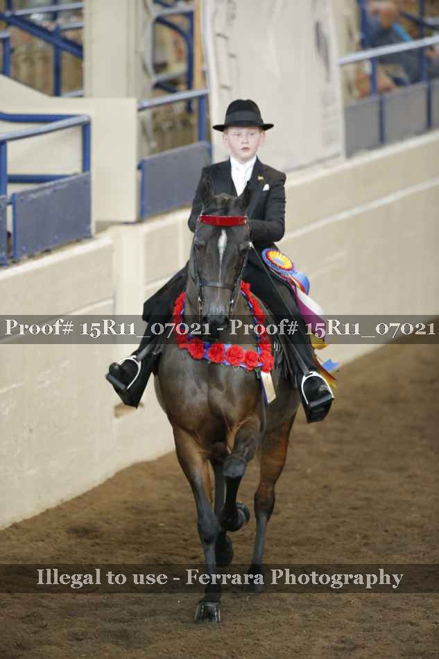 Proof Number 15R11_07021