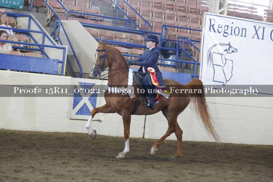 Proof Number 15R11_07022