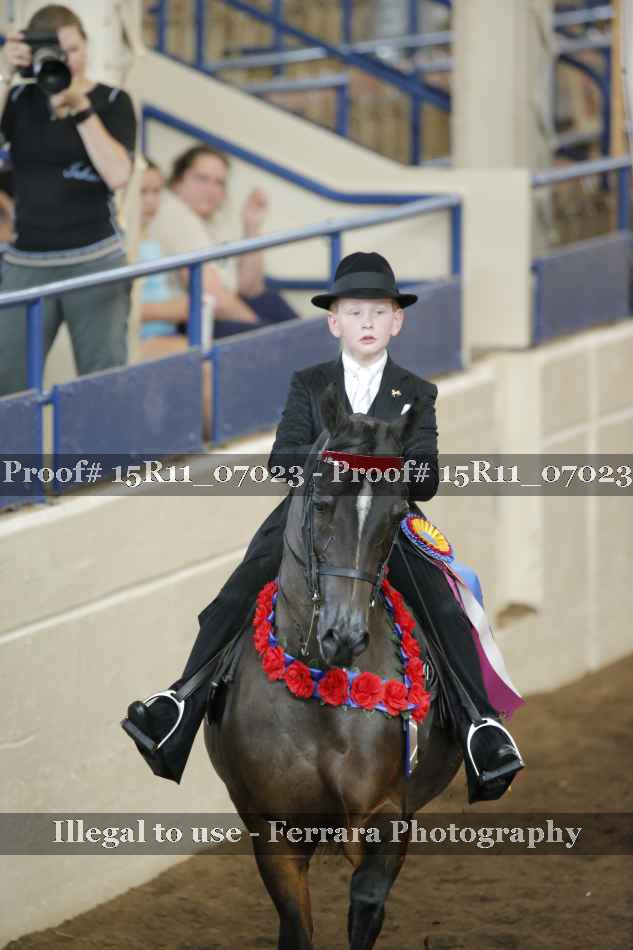 Proof Number 15R11_07023