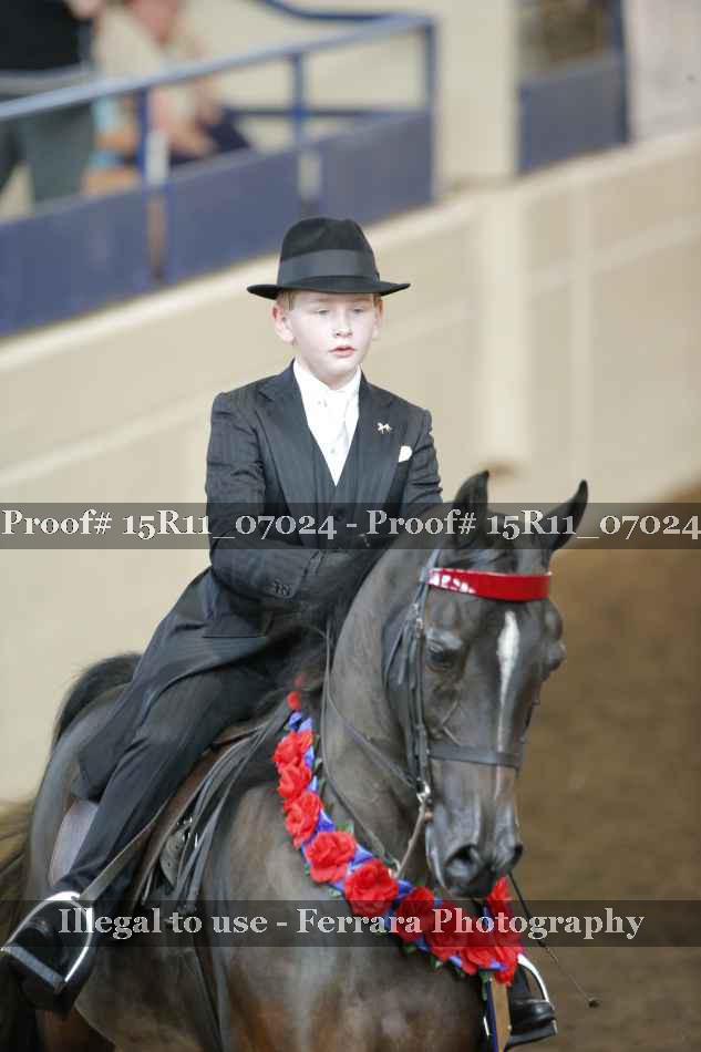 Proof Number 15R11_07024