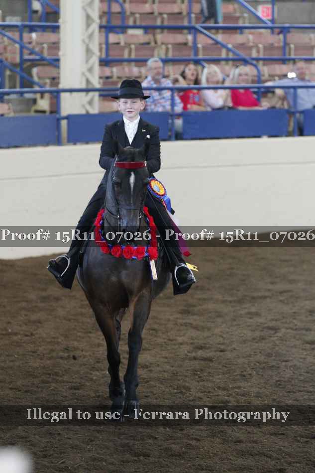 Proof Number 15R11_07026