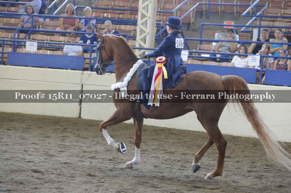 Proof Number 15R11_07027