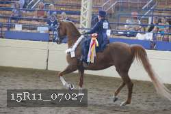 15R11_07027 thumbnail