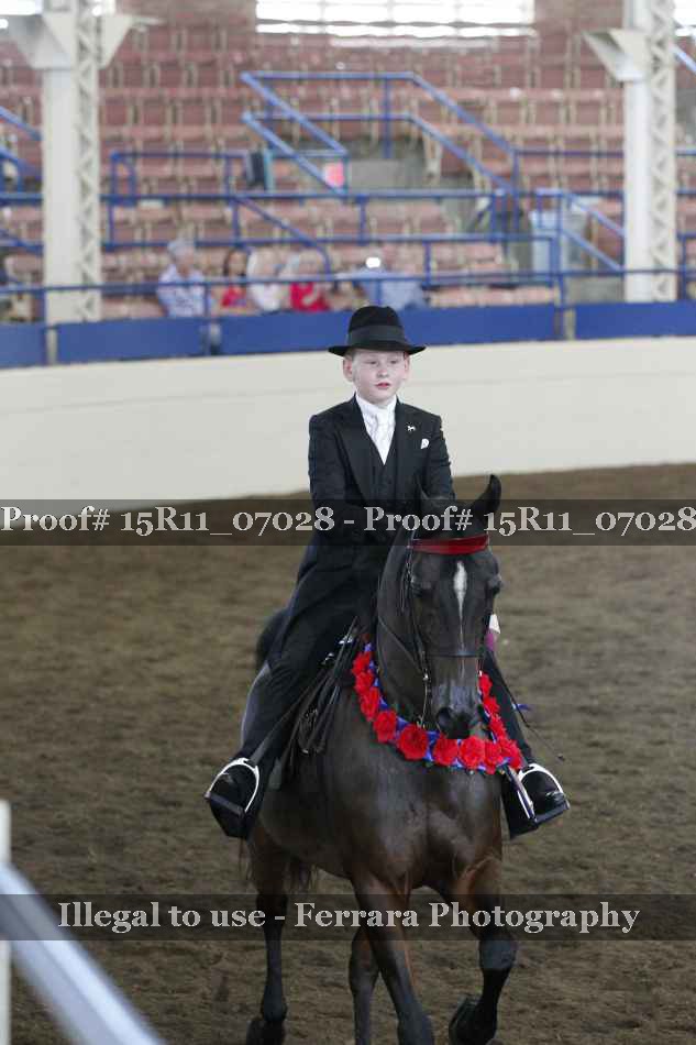 Proof Number 15R11_07028