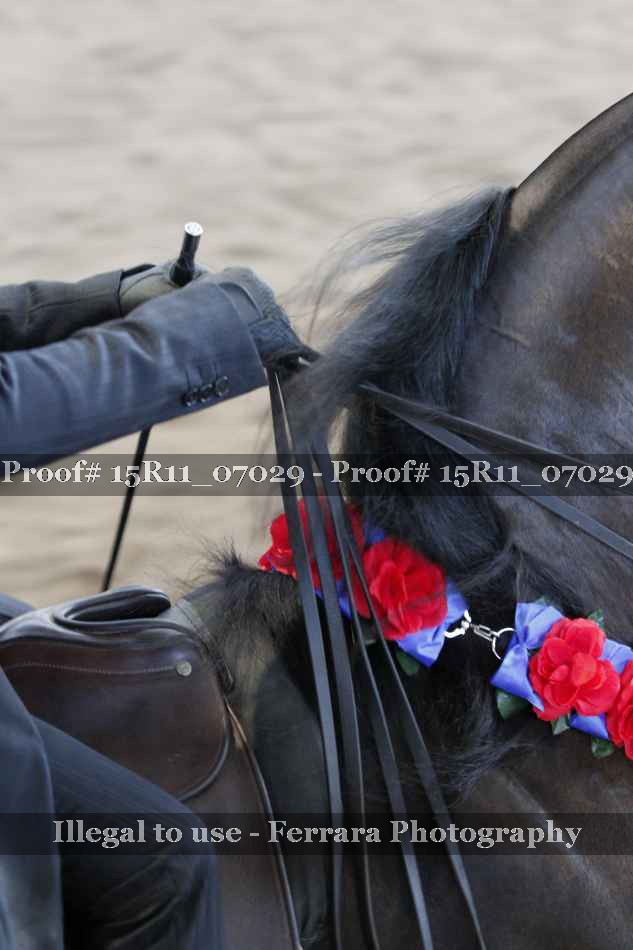 Proof Number 15R11_07029