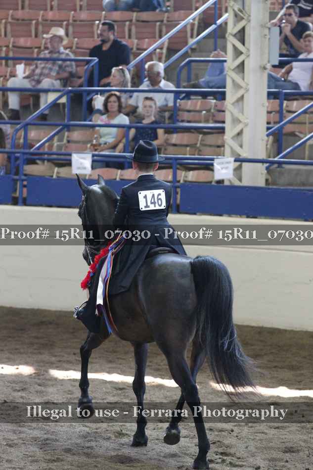 Proof Number 15R11_07030