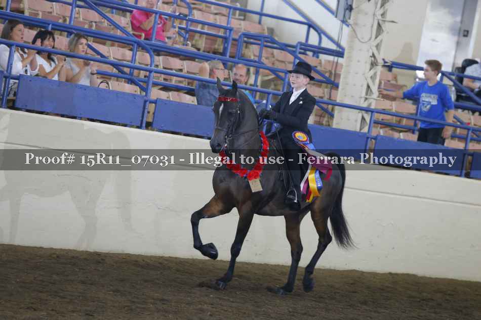 Proof Number 15R11_07031