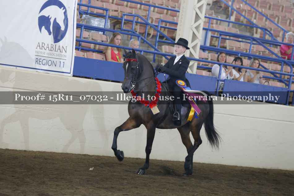 Proof Number 15R11_07032