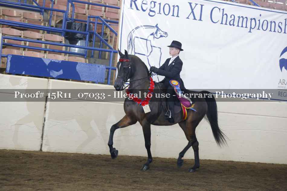 Proof Number 15R11_07033