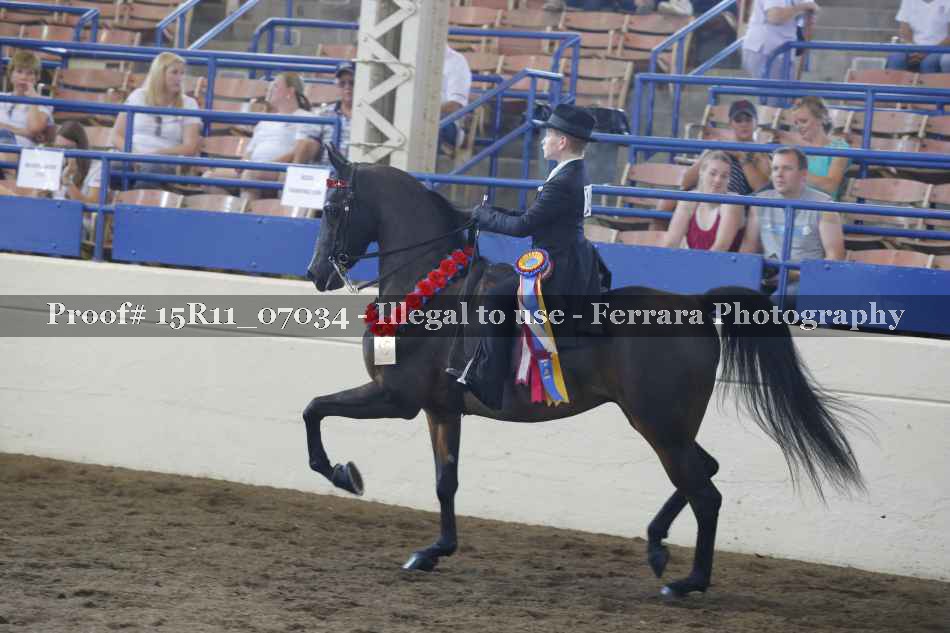 Proof Number 15R11_07034