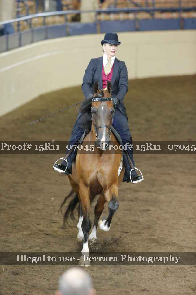 Proof Number 15R11_07045