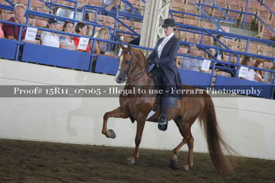Proof Number 15R11_07065