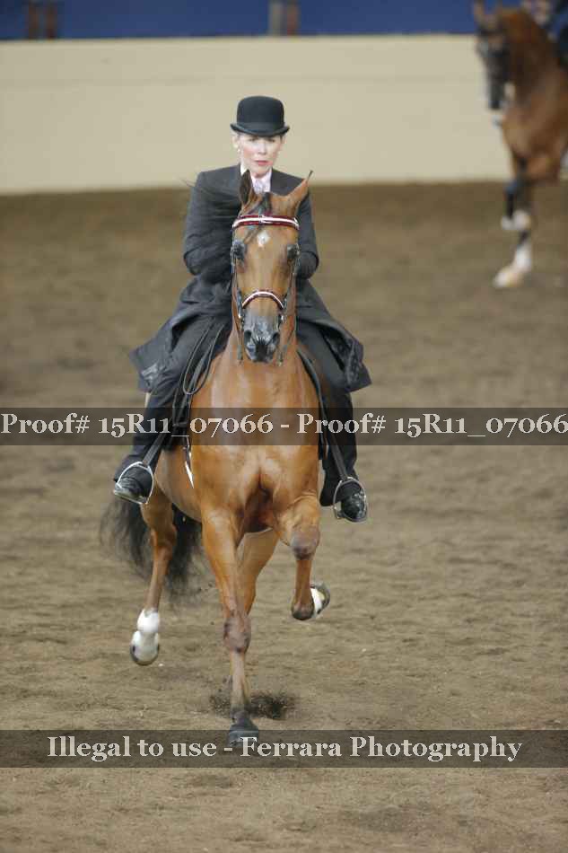 Proof Number 15R11_07066