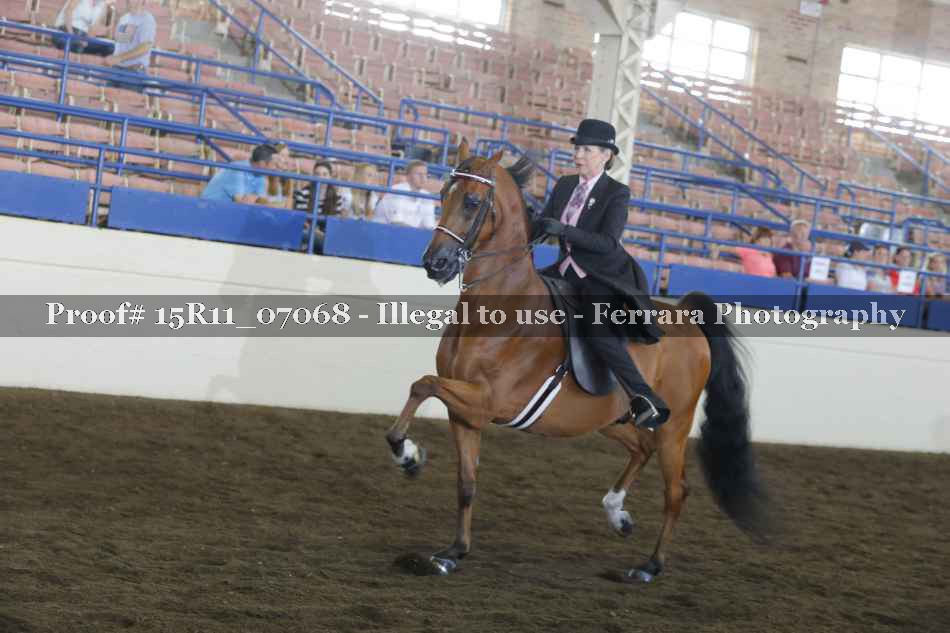 Proof Number 15R11_07068