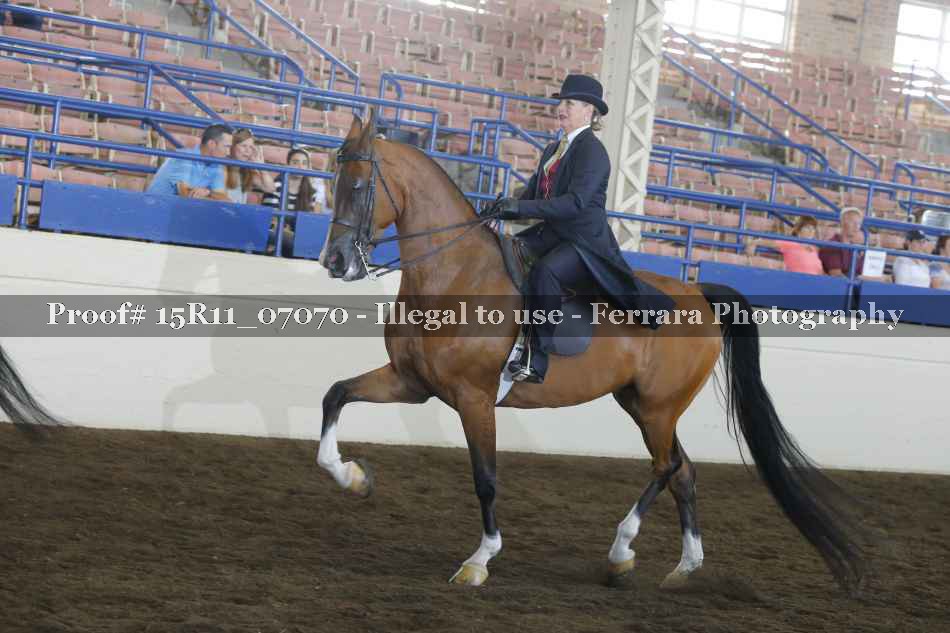 Proof Number 15R11_07070
