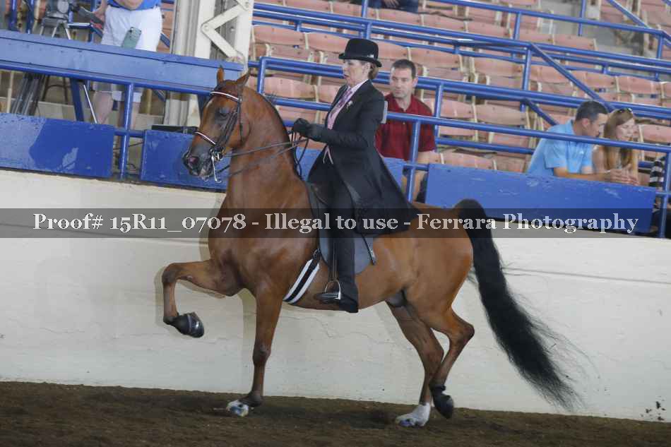 Proof Number 15R11_07078