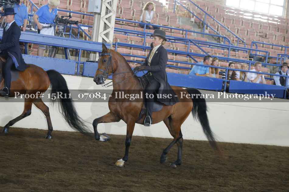 Proof Number 15R11_07084