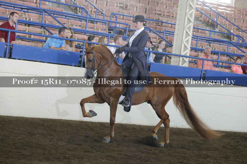 Proof Number 15R11_07085