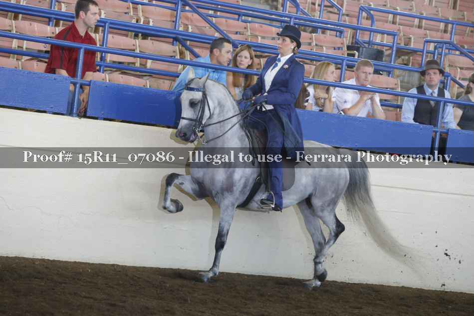 Proof Number 15R11_07086
