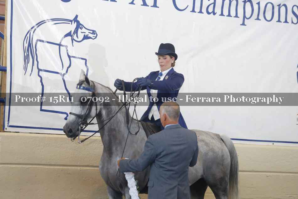 Proof Number 15R11_07092