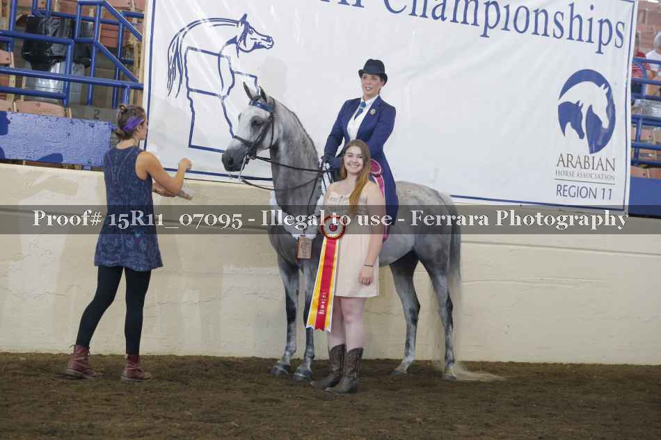 Proof Number 15R11_07095