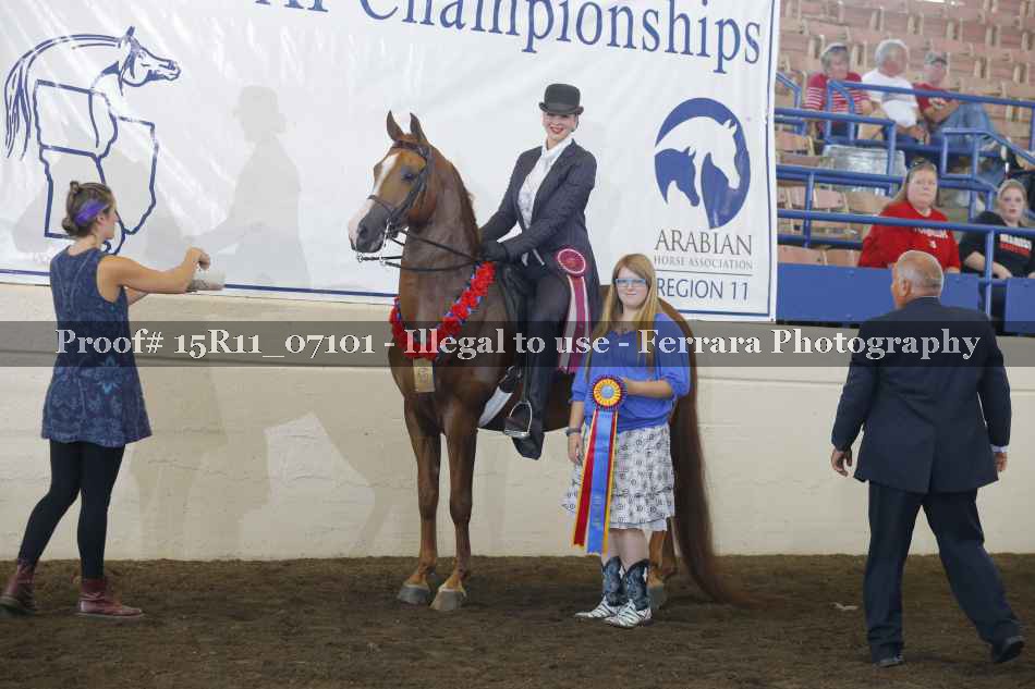 Proof Number 15R11_07101