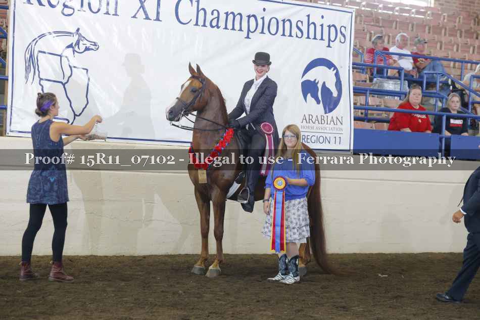 Proof Number 15R11_07102