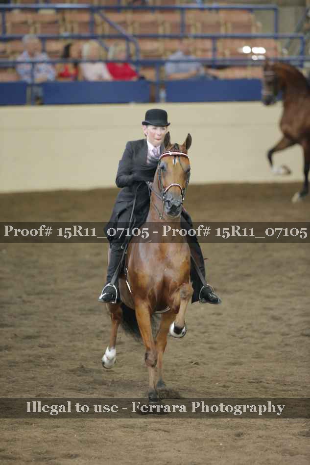 Proof Number 15R11_07105