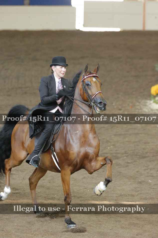 Proof Number 15R11_07107